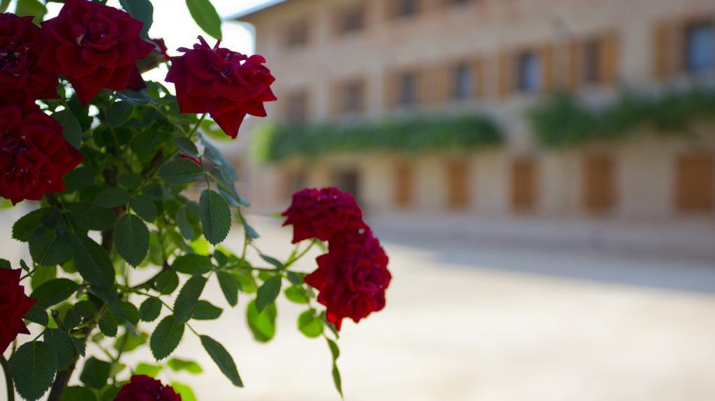Ca' Muliner Hotel Azzano Decimo Luaran gambar